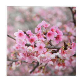 さくらんぼブロッサムジャパンフローラピンクかわいらしユニーク タイル