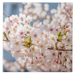 さくらんぼブロッサムジャパンフローラピンクかわいらしユニーク タイル