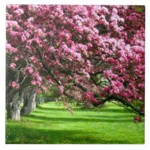 さくらんぼブロッサムジャパンフローラピンクかわいらしユニーク