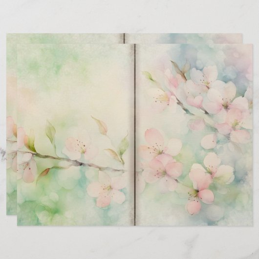 さくらんぼブロッサムジャーナル紙 (正面/裏面)