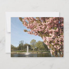 さくらんぼブロッサムズインリンカーンパーク ポストカード