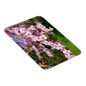 さくらんぼブロッサムツリーインザパーク マグネット (右側)