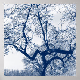 さくらんぼブロッサムツリーデルフツブルー ポスター