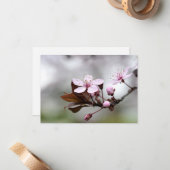 さくらんぼブロッサムノテカード ノートカード (正面/裏面インサイチュ)