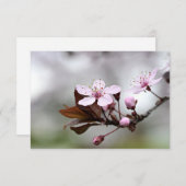 さくらんぼブロッサムノテカード ノートカード (正面/裏面)