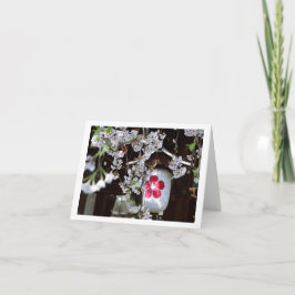 さくらんぼブロッサムフェスティバル カード