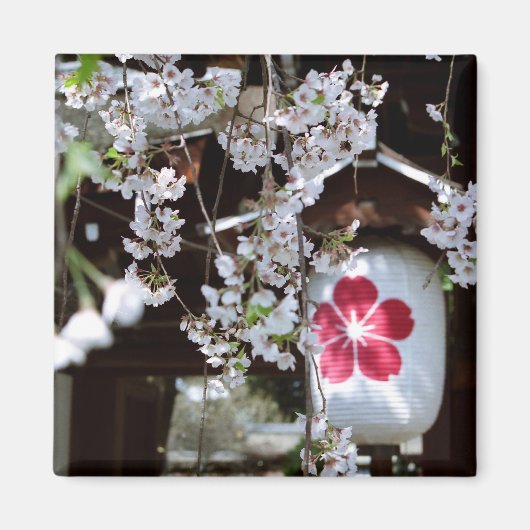 さくらんぼブロッサムフェスティバル マグネット (正面)