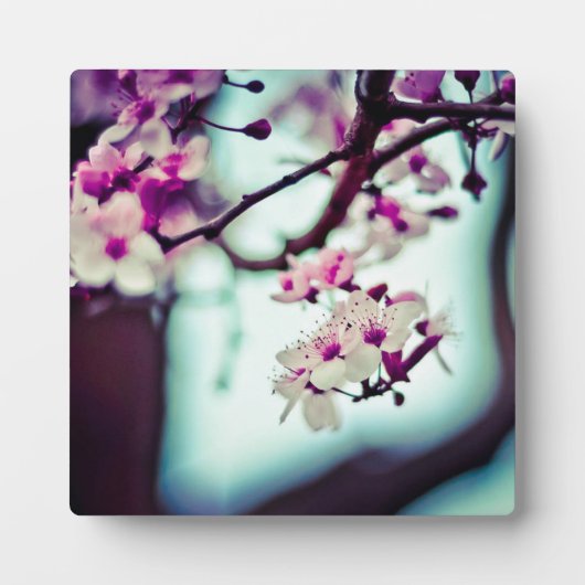 さくらんぼブロッサムブランチ フォトプラーク (正面)