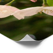 さくらんぼブロッサムプリントホワイトフラワーポスタープリント ポスター (角)