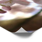 さくらんぼブロッサムプリントホワイトフラワーポスタープリント ポスター (角)