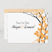 さくらんぼブロッサムベッラザデイト 案内ポストカード (正面/裏面)