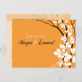 さくらんぼブロッサムベッラザデイト 案内ポストカード (正面/裏面)