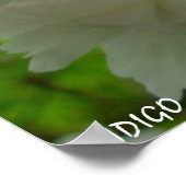 さくらんぼブロッサムポスタープリントホワイトフラワープリント ポスター (角)