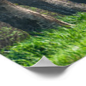 さくらんぼブロッサムレーン ポスター (角)