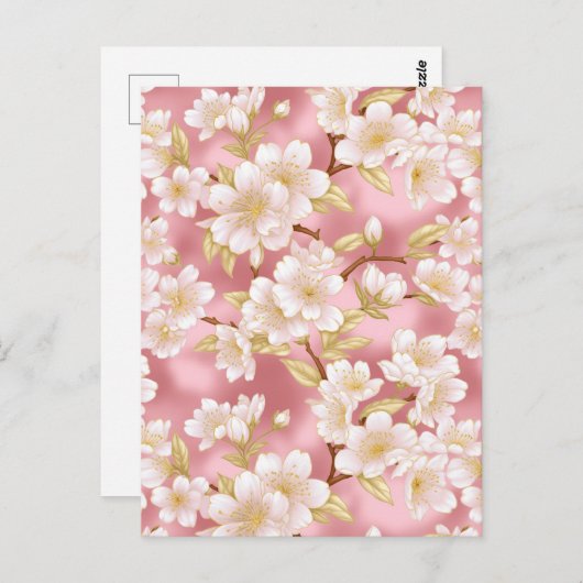 さくらんぼブロッサム千代上 ポストカード (正面/裏面)