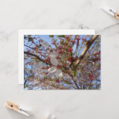 さくらんぼブロッサム春グリーティングカード カード (正面/裏面インサイチュ)