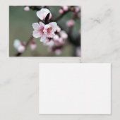 さくらんぼブロッサム春 ノートカード (正面/裏面)