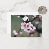 さくらんぼブロッサム春 ノートカード (正面/裏面インサイチュ)