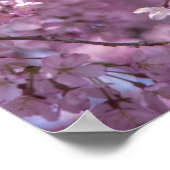 さくらんぼブロッサム春 ポスター (角)