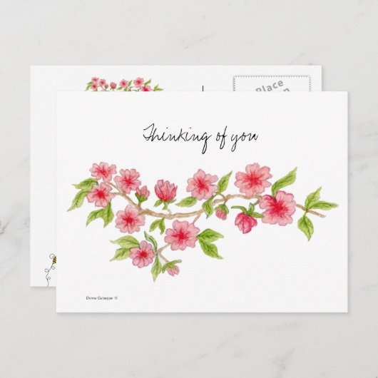 さくらんぼブロッサム枝はがき ポストカード (正面/裏面)