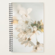 さくらんぼブロッサム自然写真