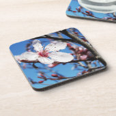 さくらんぼブロッサム2 コースター (左側)