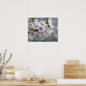 さくらんぼブロッサム2 ポスター (キッチン)