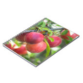 さくらんぼプラムオンブランチ ノートブック (左側)