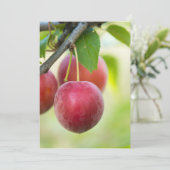 さくらんぼプラムオンブランチ 招待状 (スタンド正面)