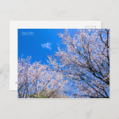 さくらんぼプラム[葉書] ポストカード (正面/裏面)