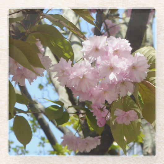 さくらんぼ写真 ガラスコースター (正面)