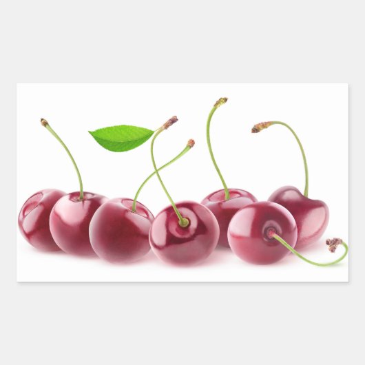 さくらんぼ列 長方形シール (正面)