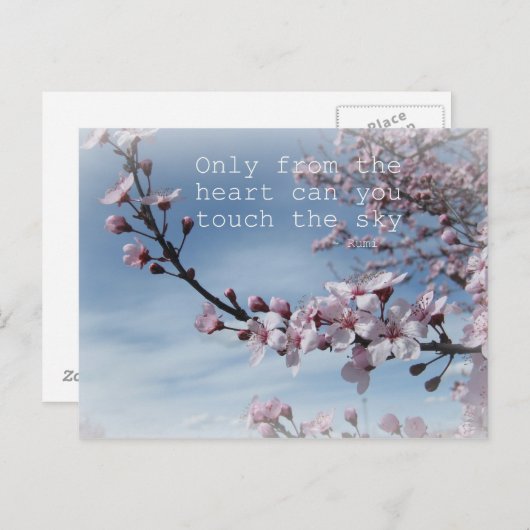 さくらんぼ咲き禅の花の木ポストカード ポストカード (正面/裏面)