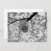 さくらんぼ日本のの花と提灯 ポストカード (正面/裏面)