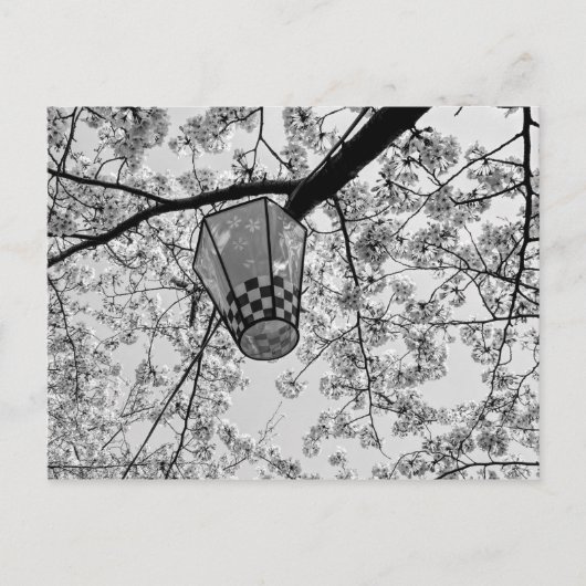 さくらんぼ日本のの花と提灯 ポストカード (正面)