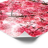 さくらんぼ日本のの花の木(2013) フォトプリント            (角)