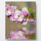 さくらんぼ日本のの花の水の上の装飾 フォトプラーク (正面)