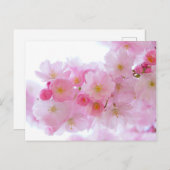 さくらんぼ日本のツリーブロッサム ポストカード (正面/裏面)