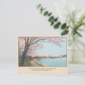 さくらんぼ日本の花咲はがきワシントンDC ポストカード (スタンド正面)