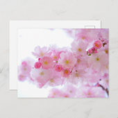 さくらんぼ日本の花花はがき ポストカード (正面/裏面)