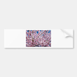 さくらんぼ日本の花 バンパーステッカー