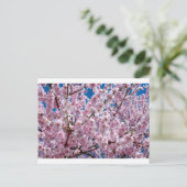さくらんぼ日本の花 ポストカード (スタンド正面)
