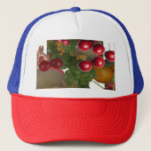 さくらんぼ果実 キャップ (正面)