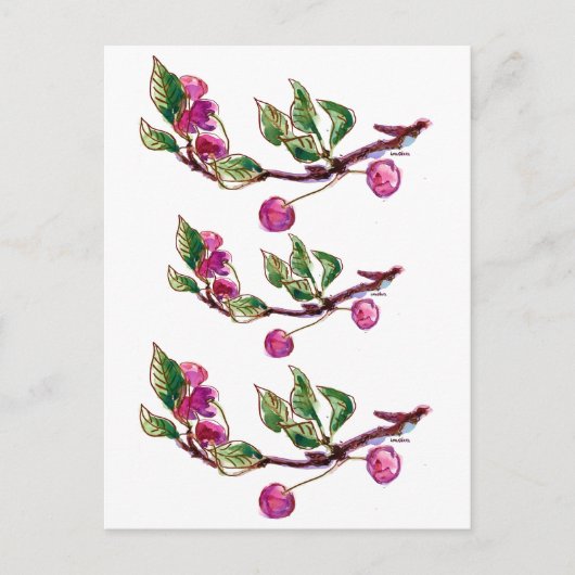 さくらんぼ枝 ポストカード (正面)