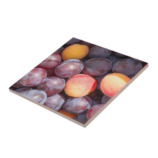 さくらんぼ梅 タイル (側面)