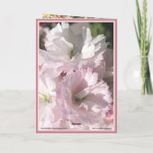 さくらんぼ淡い色のの花のピンクと白のカードの写真 カード (裏面)