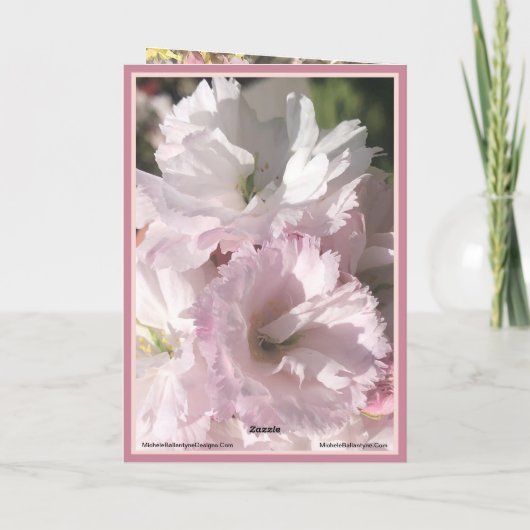 さくらんぼ淡い色のの花のピンクと白のカードの写真 カード (裏面)