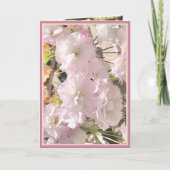 さくらんぼ淡い色のの花のピンクと白のカードの写真 カード (正面)