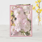 さくらんぼ淡い色のの花のピンクと白のカードの写真 カード (黄色い花)