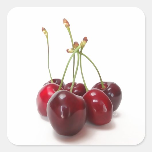 さくらんぼ熟 スクエアシール (正面)